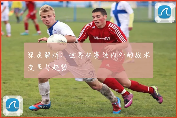 深度解析：世界杯赛场内外的战术变革与趋势
