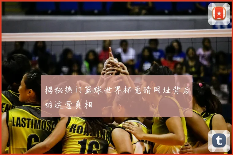揭秘热门篮球世界杯竞猜网址背后的运营真相
