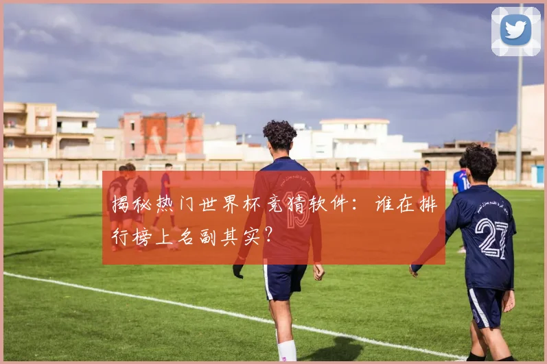 揭秘热门世界杯竞猜软件:谁在排行榜上名副其实?