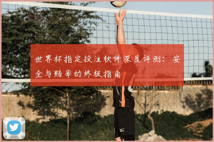 世界杯指定投注软件深度评测：安全与赔率的终极指南